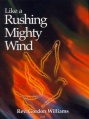 Like a Rushing Mighty Wind.jpg