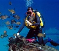 Scuba diving florida.jpg